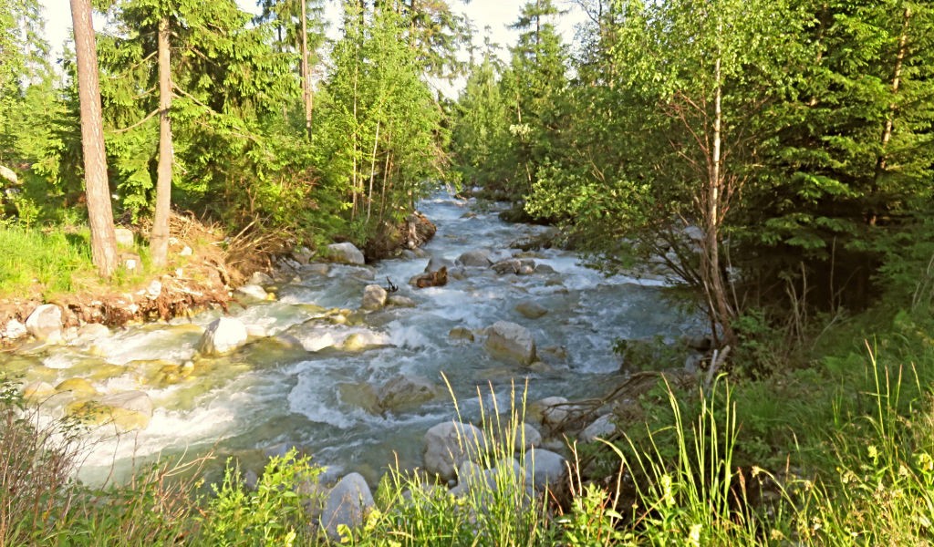 Glacial streams (Image: Ramy Salameh)