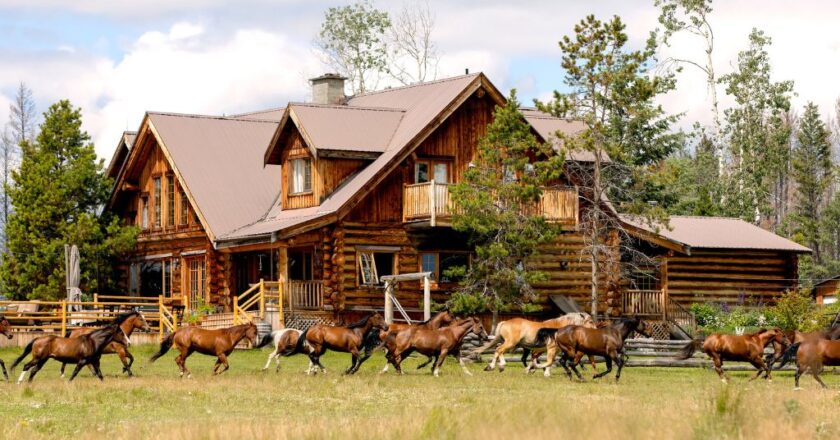 Equestrian travel: the world’s best luxury hotels for horse lovers