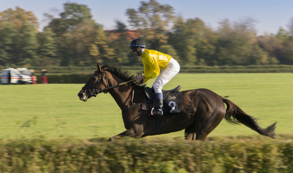 UK horse racing in 2020: major races, events and festivals